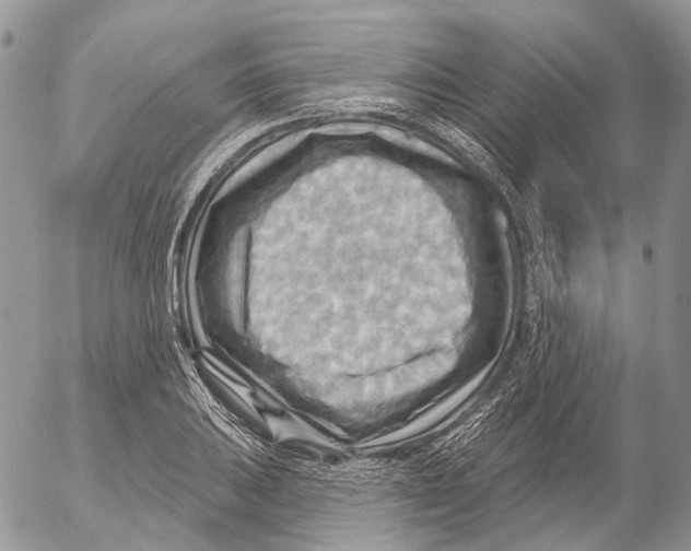 X0000053081031200508081240