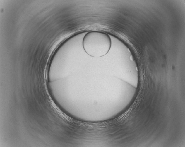 X0000053081032200508081240