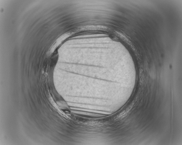 X0000053081033200508081240