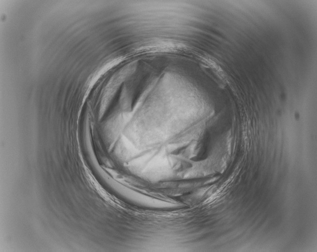 X0000053081034200508081240