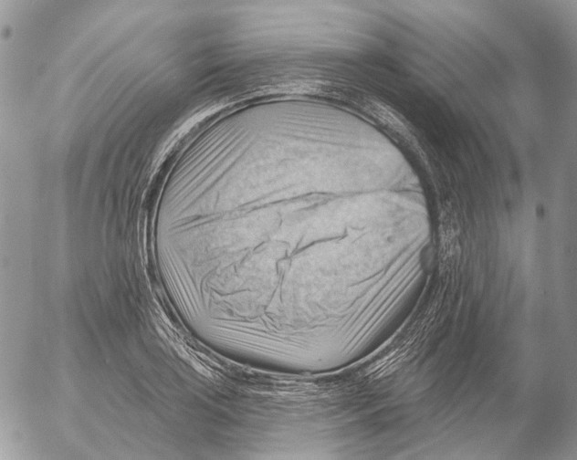 X0000053081035200508081240