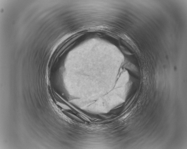 X0000053081036200508081240