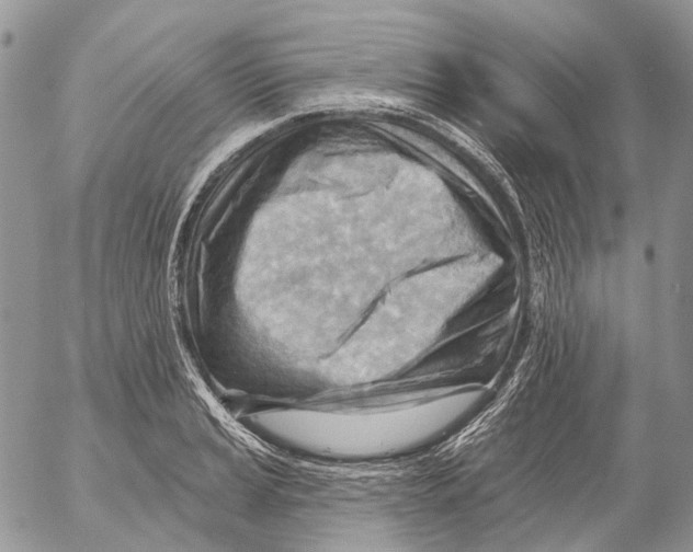 X0000053081037200508081240