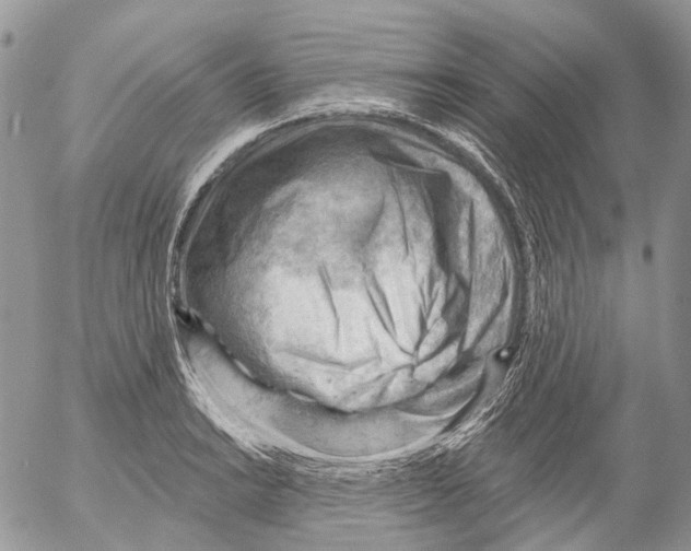 X0000053081038200508081240