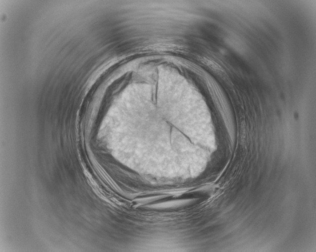 X0000053081039200508081240