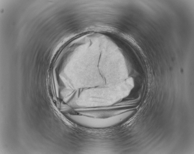 X0000053081040200508081240