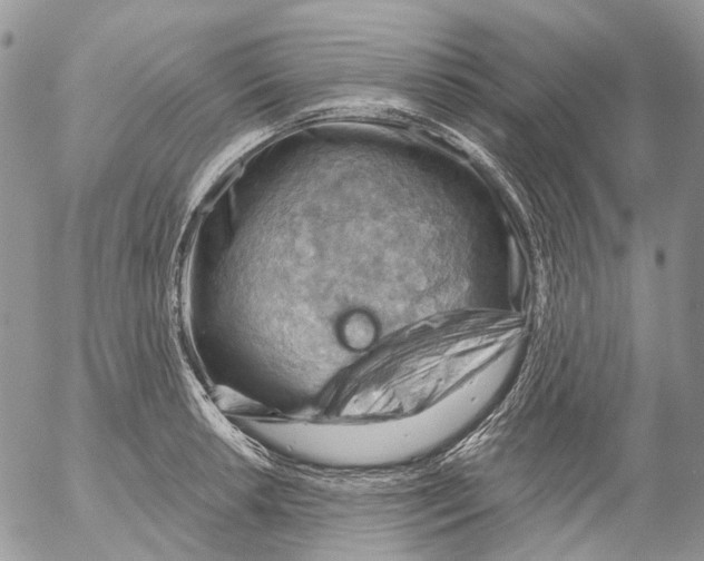 X0000053081042200508081240