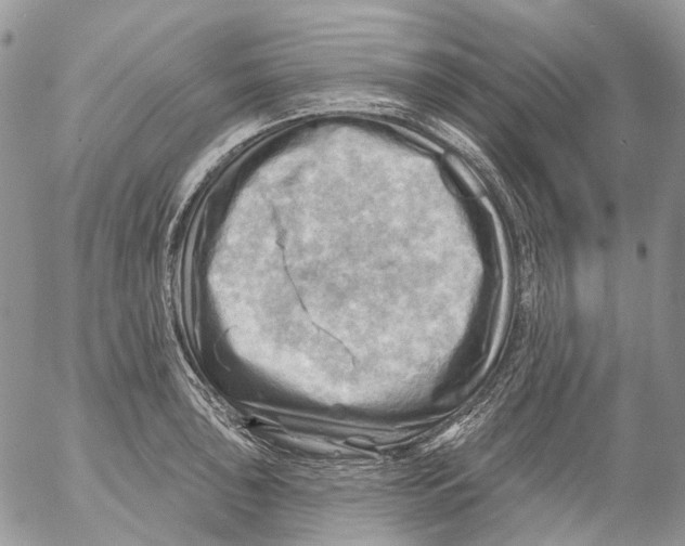 X0000053081043200508081240