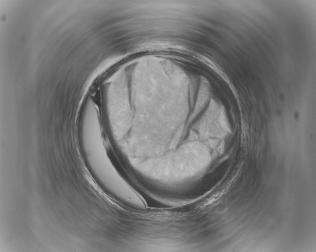 X0000053081045200508081240