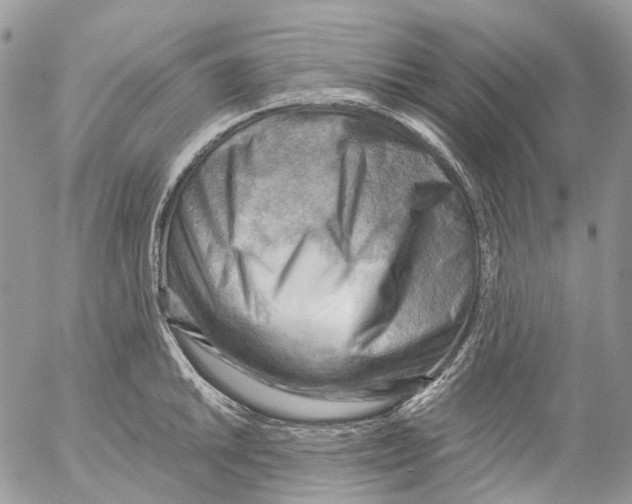 X0000053081046200508081240