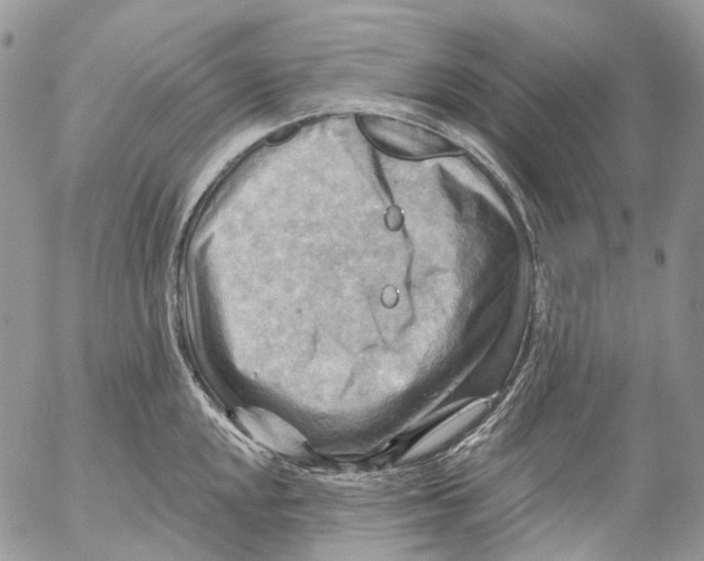 X0000053081048200508081240