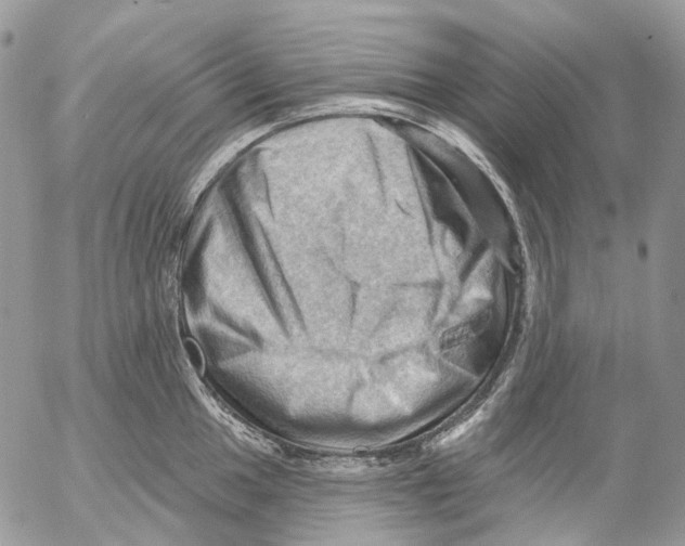 X0000053081049200508081240