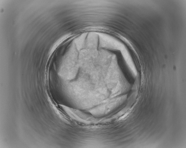 X0000053081050200508081240