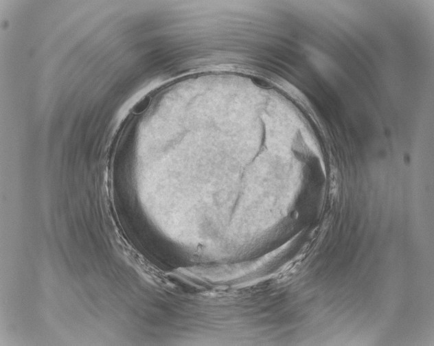 X0000053081051200508081240