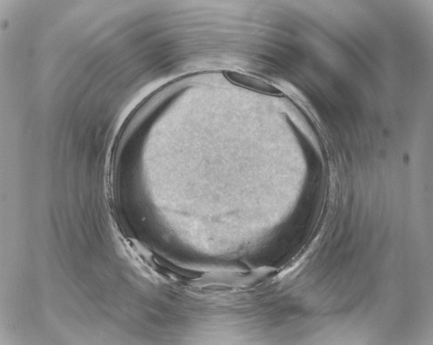 X0000053081052200508081240