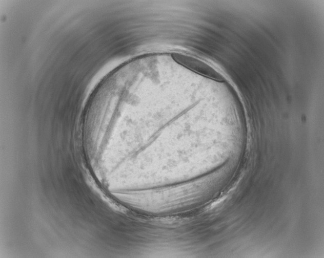 X0000053081053200508081240