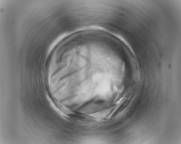 X0000053081054200508081240