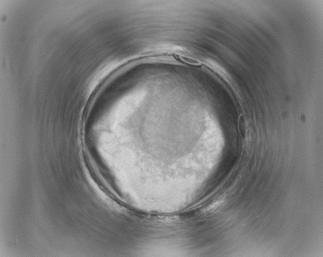 X0000053081055200508081240