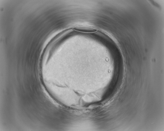 X0000053081056200508081240