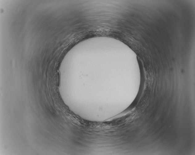 X0000053081057200508081240