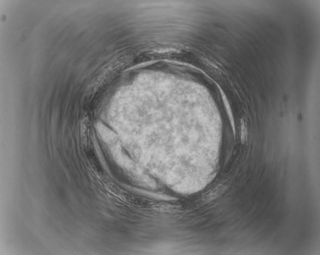 X0000053081059200508081239