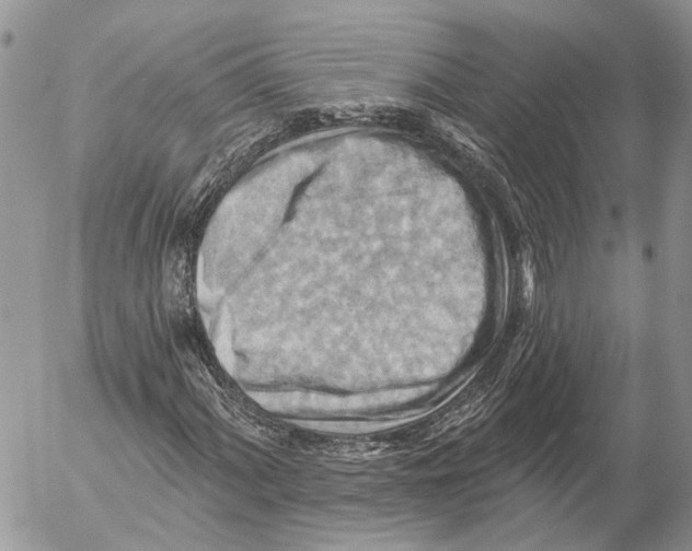 X0000053081060200508081239