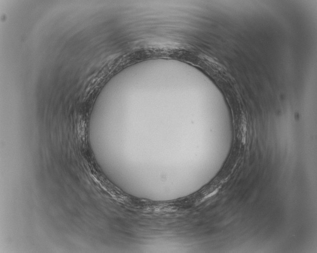 X0000053081061200508081239