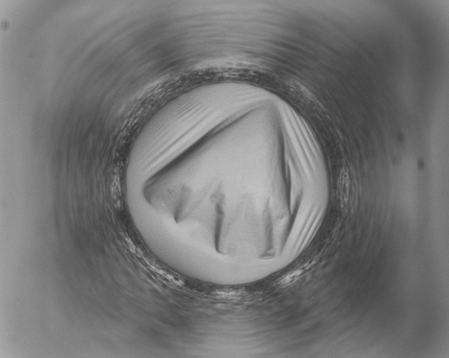 X0000053081062200508081239