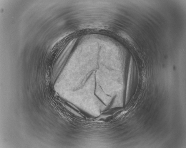 X0000053081064200508081239