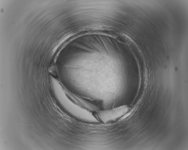 X0000053081065200508081239