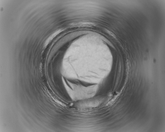 X0000053081066200508081239