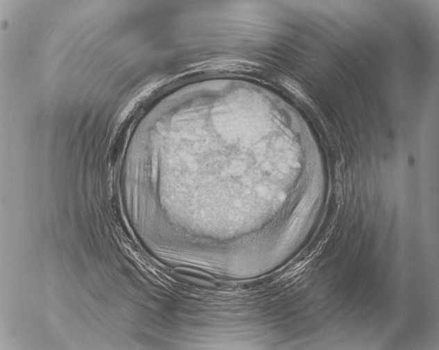 X0000053081067200508081239