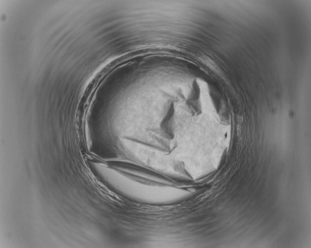 X0000053081068200508081239