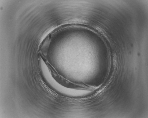 X0000053081069200508081239