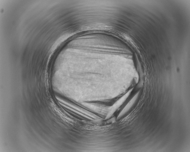 X0000053081072200508081239