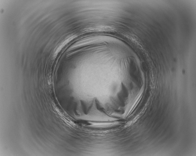 X0000053081073200508081239