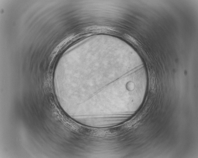 X0000053081074200508081239