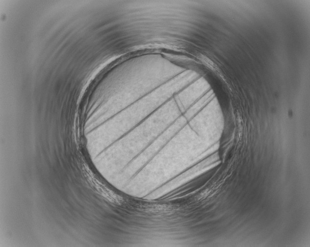 X0000053081076200508081239