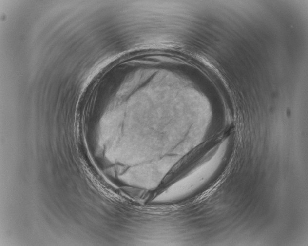 X0000053081077200508081239