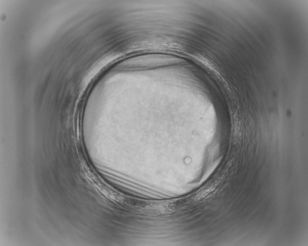 X0000053081078200508081239