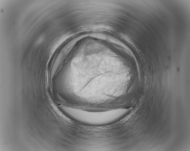 X0000053081079200508081239