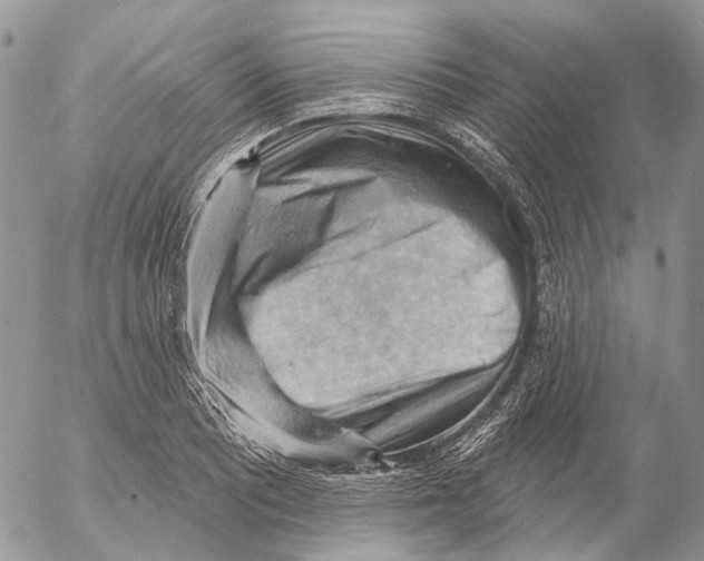 X0000053081081200508081239