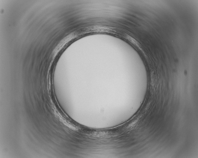 X0000053081082200508081239