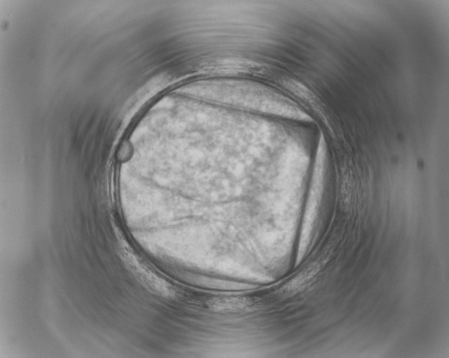 X0000053081083200508081239