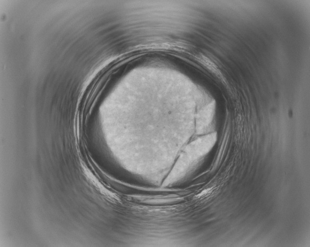 X0000053081084200508081239