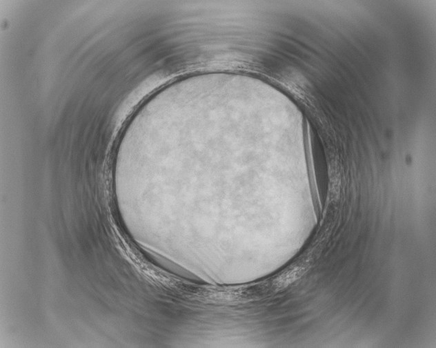 X0000053081086200508081239