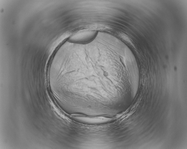 X0000053081087200508081239