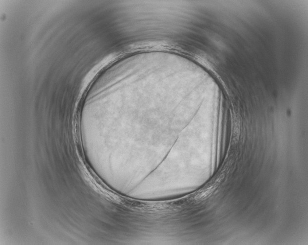 X0000053081090200508081239