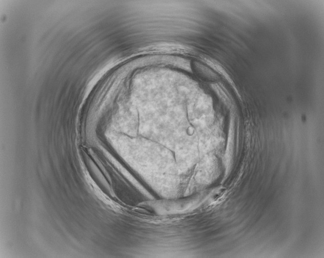 X0000053081091200508081239