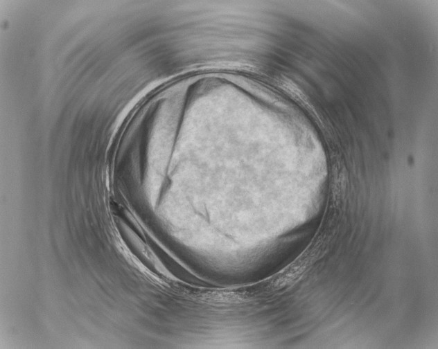 X0000053081092200508081239